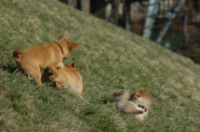 Apr8_06_396.JPG