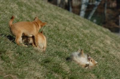 Apr8_06_397.JPG