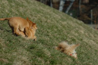 Apr8_06_398.JPG