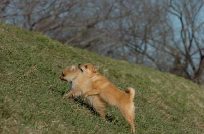 Apr8_06_399.JPG