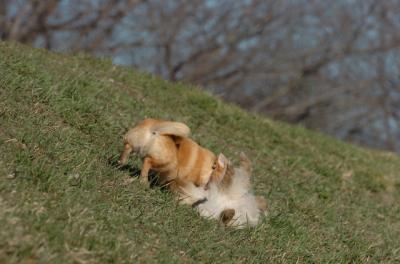 Apr8_06_402.JPG