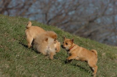 Apr8_06_403.JPG