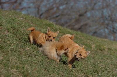 Apr8_06_404.JPG