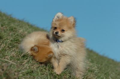 Apr8_06_407.JPG