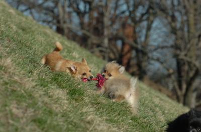 Apr8_06_409.JPG