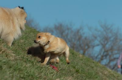Apr8_06_414.JPG