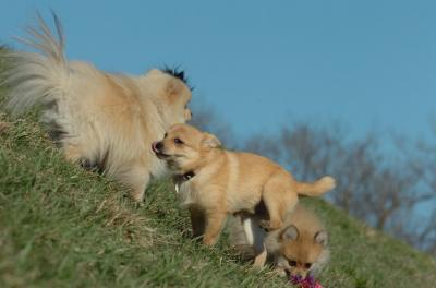 Apr8_06_415.JPG