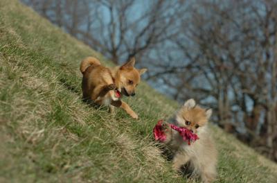 Apr8_06_417.JPG