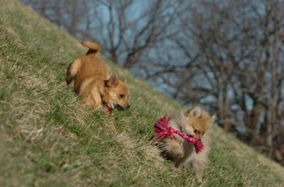 Apr8_06_418.JPG