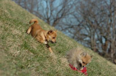 Apr8_06_419.JPG