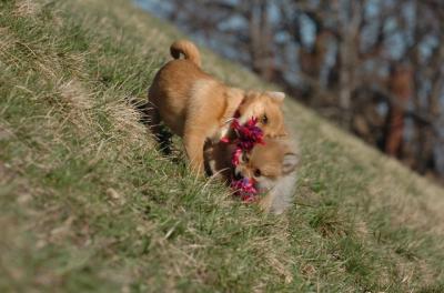 Apr8_06_420.JPG