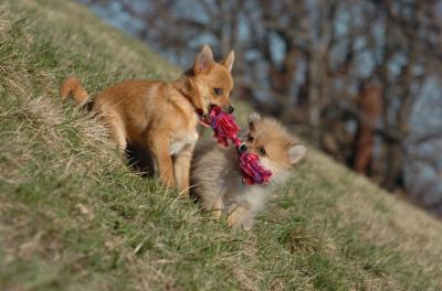 Apr8_06_423.JPG