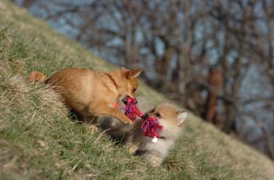 Apr8_06_425.JPG