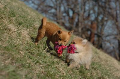 Apr8_06_426.JPG