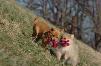 Apr8_06_427.JPG