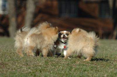 Apr8_06_110.JPG