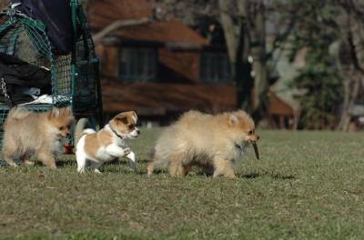 Apr8_06_128.JPG