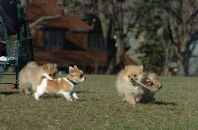 Apr8_06_130.JPG