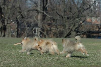 Apr8_06_140.JPG