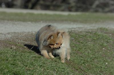 Apr8_06_144.JPG