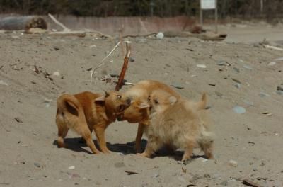 Apr10_06_431.JPG