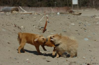 Apr10_06_433.JPG