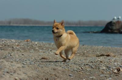 Apr10_06_441.JPG