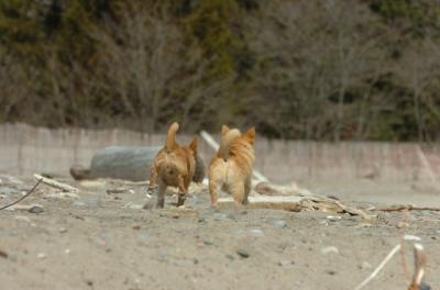 Apr10_06_334.JPG