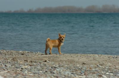 Apr10_06_338.JPG