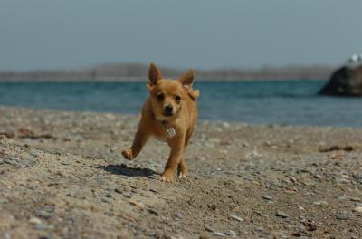 Apr10_06_360.JPG