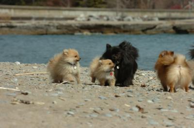 Apr10_06_108.JPG