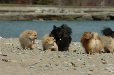 Apr10_06_109.JPG