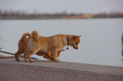Apr16_06_239.JPG