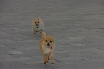 Apr16_06_120.JPG