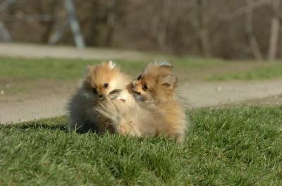 Apr19_06_787.JPG