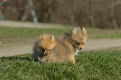 Apr19_06_788.JPG