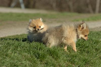 Apr19_06_789.JPG