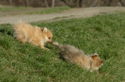 Apr19_06_791.JPG