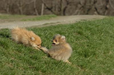 Apr19_06_792.JPG