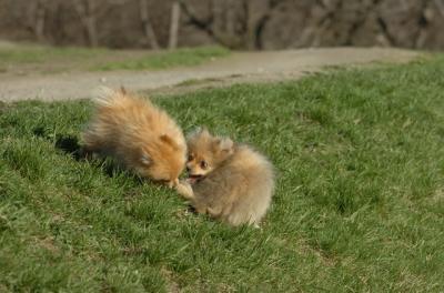 Apr19_06_793.JPG