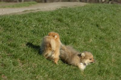 Apr19_06_795.JPG