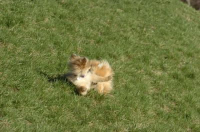 Apr19_06_798.JPG