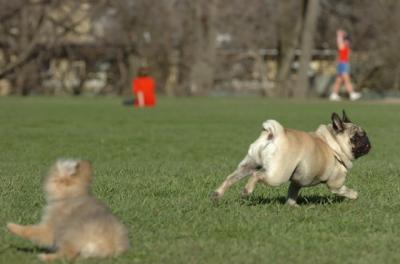 Apr19_06_811.JPG