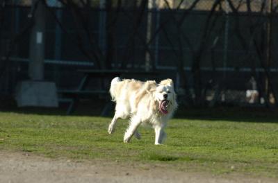 Apr19_06_823.JPG