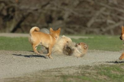 Apr19_06_610.JPG