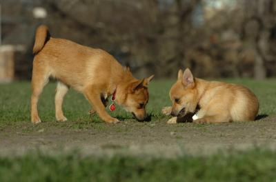 Apr19_06_709.JPG