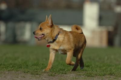 Apr19_06_243.JPG