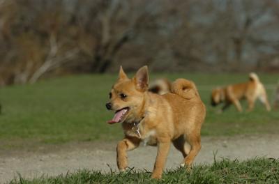 Apr19_06_279.JPG