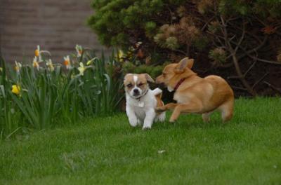 Apr20_06_008.JPG