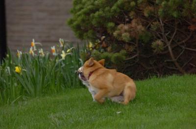 Apr20_06_009.JPG